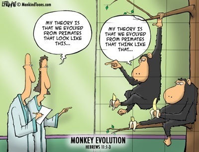 [Mankind Toon_Monkey evolution[6].jpg]