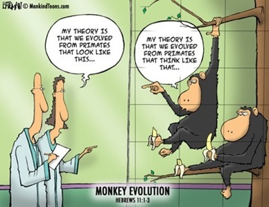 Mankind Toon_Monkey evolution