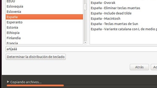 ubuntu copy during install