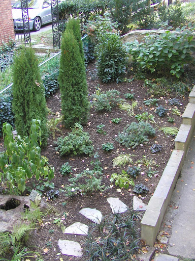 garden designed w/natives and plants appropriate to wet shady site