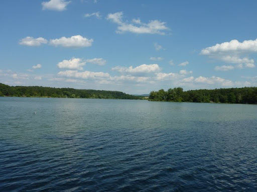 P1030390.JPG
