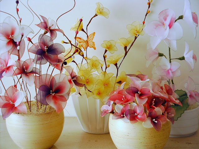 IMG0034.jpg