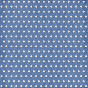 clarey_denimchic_paper10.png