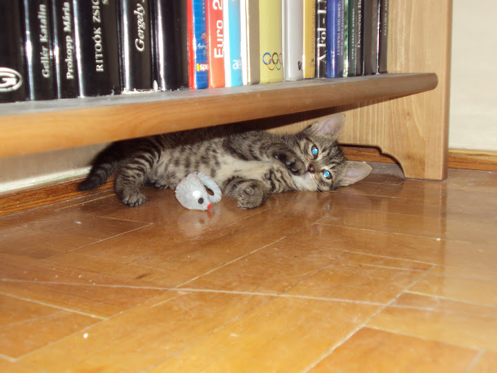 DSC01757.JPG