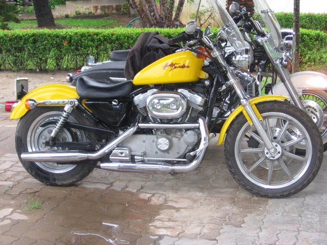  Harley Davidson Sportster XL 883 for sale 290 000 baht 