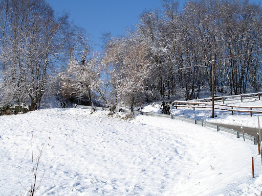 DSC03265.JPG
