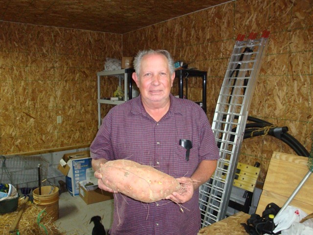 [dad sweet potato[2].jpg]