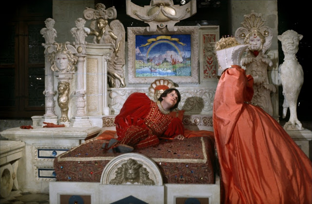 La Favolosa Storia Di Pelle D Asino