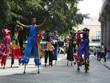 show in HAVANA, capital of Cuba