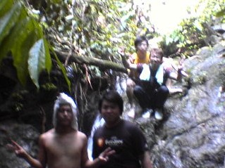 laluan hutan 2
