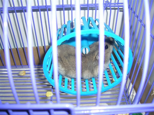 狂奔发泄