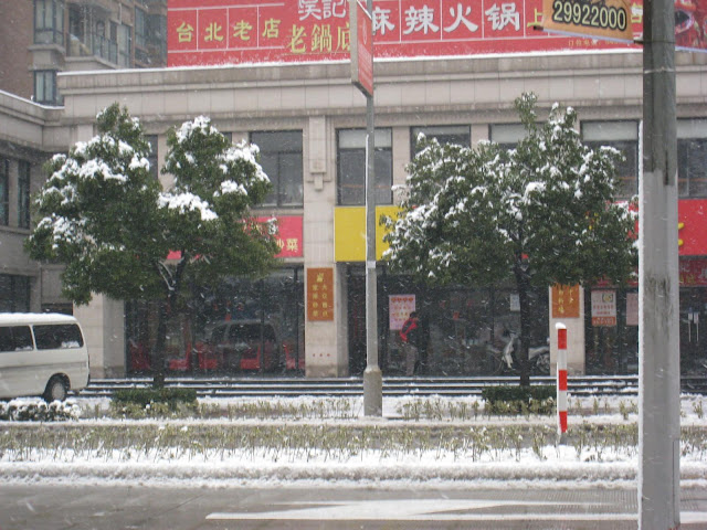紫竹之雪 - 03