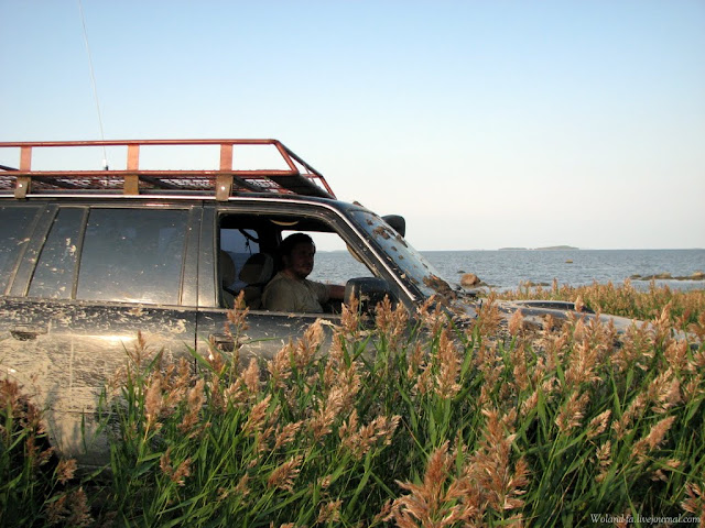 Осударева дорога. Карелия 2010. 