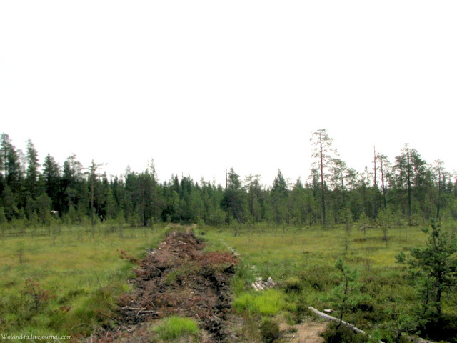 Осударева дорога. Карелия 2010. 