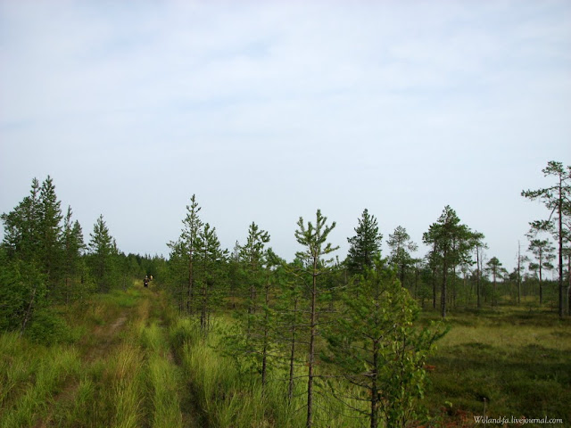 Осударева дорога. Карелия 2010. 