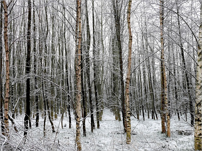 lars van de goor 333702