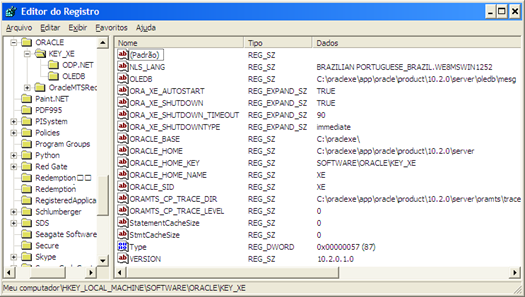 NLS_LANG subkey on Windows Registry