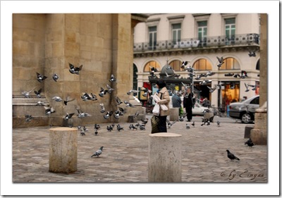 Pidgeons___Paris_by_enyaa