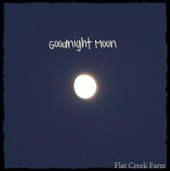 gnight_moon