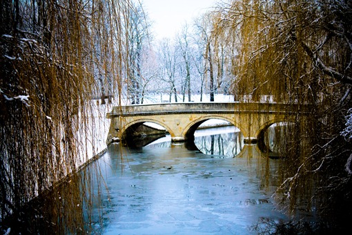 Cambridge Snow-85