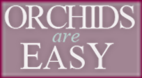 Orchids-Are-Easy
