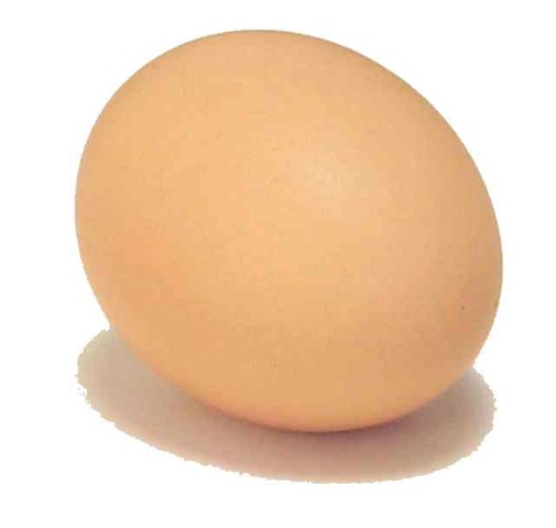[egg[5].jpg]
