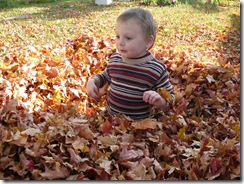 caelun in the leaves 008