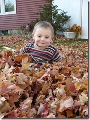 caelun in the leaves 044