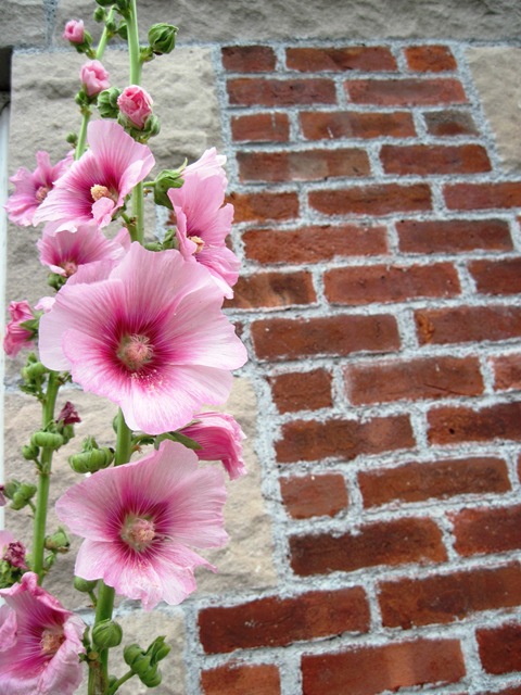 [Newport0610 096[8].jpg]