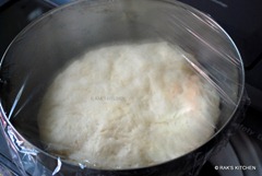 double raised dough double raised dough