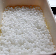 Soaked sago Soaked sago