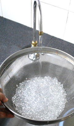 Wash Wash