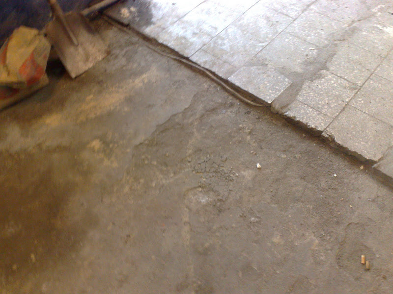 20100624231.jpg