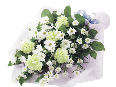 孔雀草 花言葉 121813