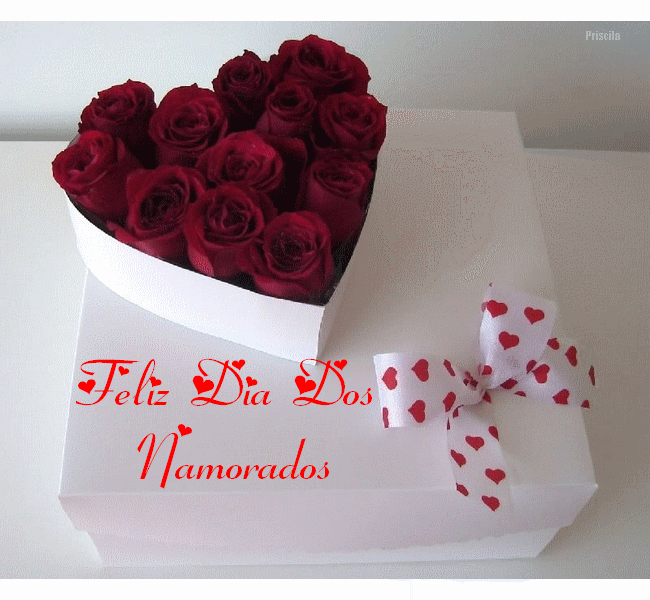 NANORADOS2.gif