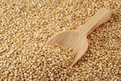 [quinoa-grains[3].jpg]
