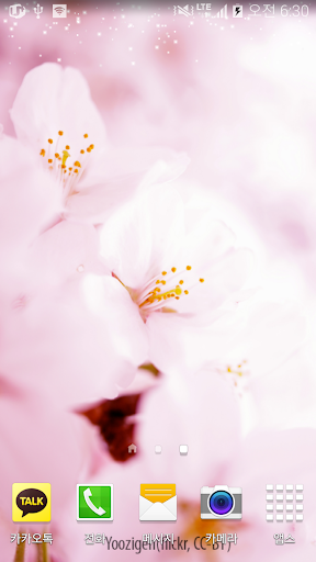 따뜻한핑크빛꽃배경