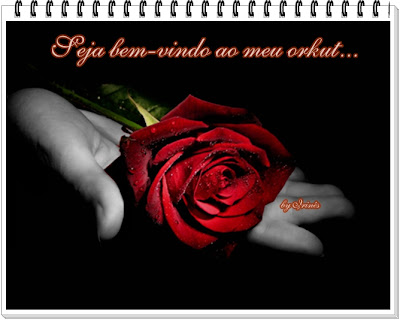 B-Vindo-Iri.jpg
