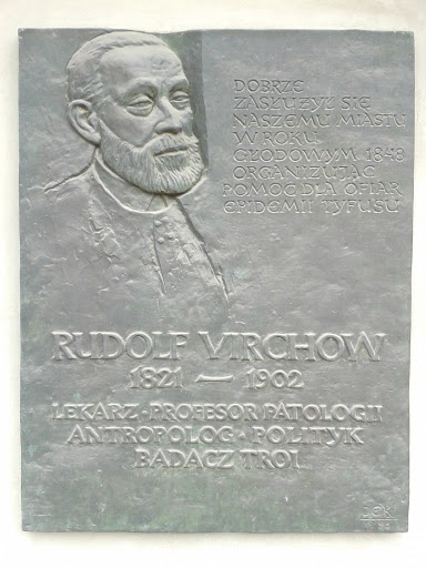 Mikołów Tablica R. Virchow