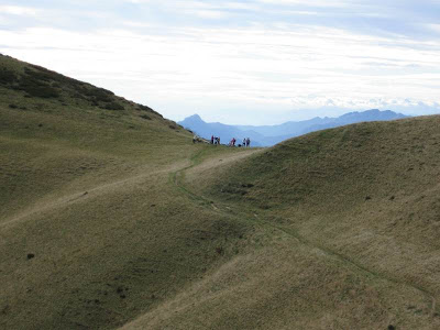 sIMG_3231.jpg