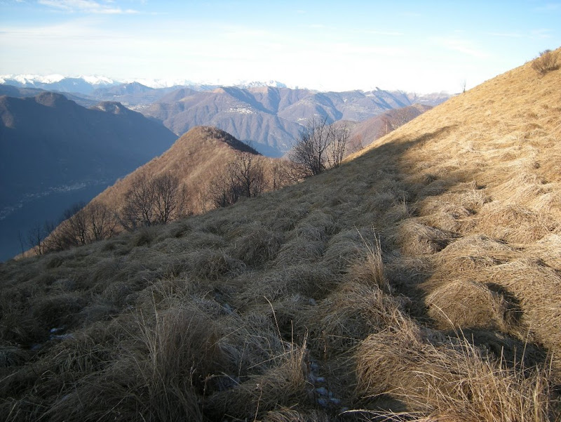 sDSCN0586.jpg