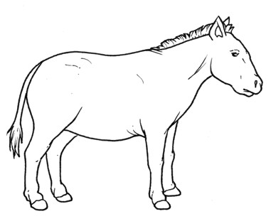 prehistoric horse coloring pages