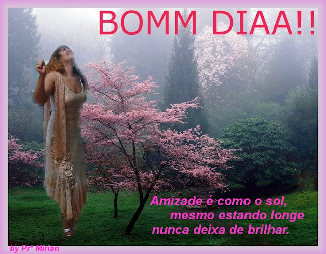 aMIZADE%20COMO%20SOL.jpg