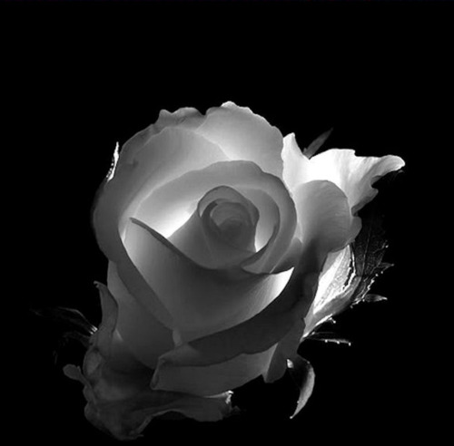 [image3.png]