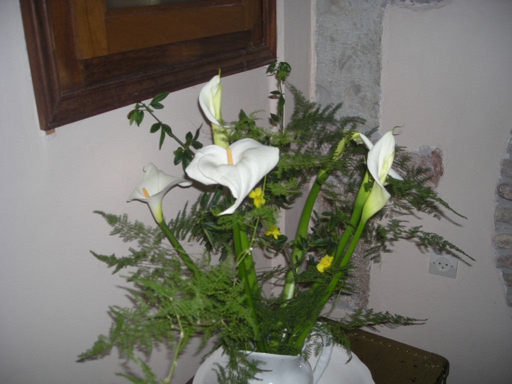 [DSCN06424.jpg]