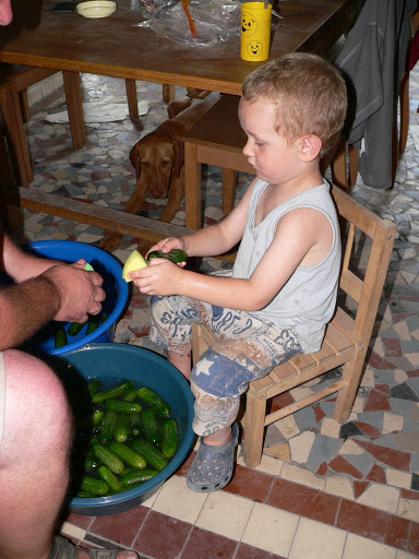 P1200510.JPG