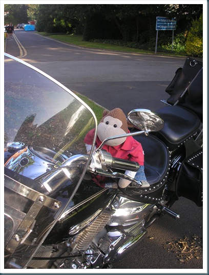 Monkey on a Motorbike 2
