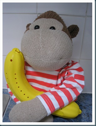 Monkey with Banana Guard