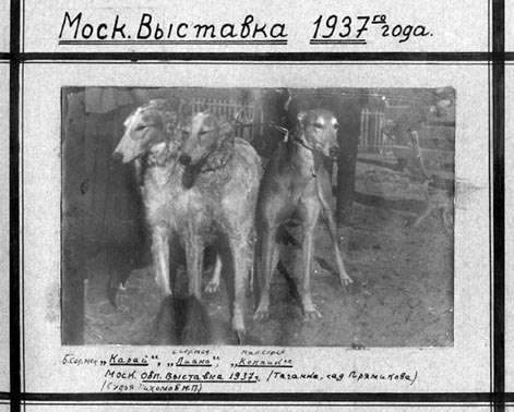 hortaya%26borzois.1.jpg