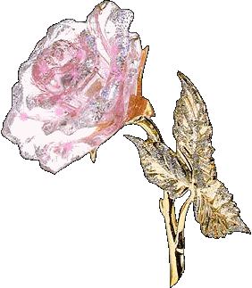 rosas (16)